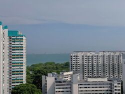 Blk 44 Marine Crescent Gardens (Marine Parade), HDB 5 Rooms #583850131